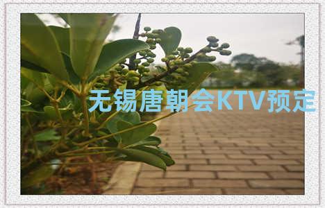 无锡唐朝会KTV预定