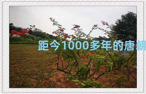 距今1000多年的唐朝